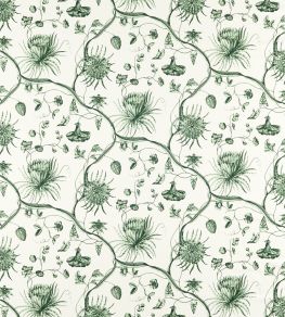 Phaedra Toile Fabric by Zoffany Huntsmans Green