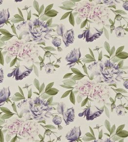 Phoebe Fabric by Zoffany Rose/Lilac