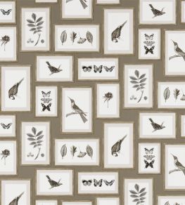 Picture Gallery Wallpaper by Sanderson Taupe/Sepia