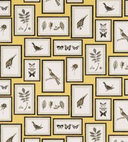 Picture Gallery Wallpaper by Sanderson Yellow/Charcoal