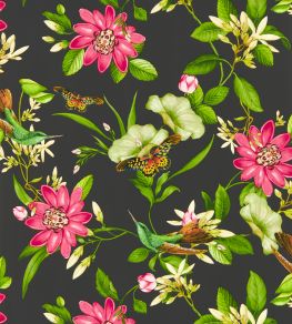 Pink Lotus Wallpaper by Clarke & Clarke Noir