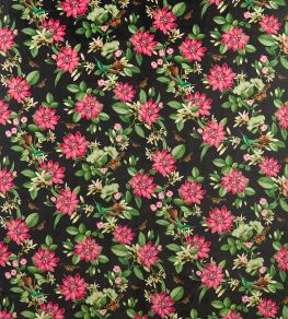 Pink Lotus Velvet Fabric by Clarke & Clarke Noir