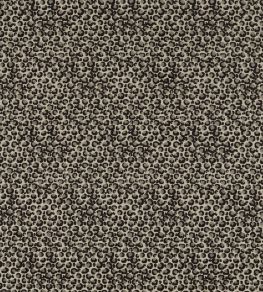 Pokot Fabric by Clarke & Clarke Noir