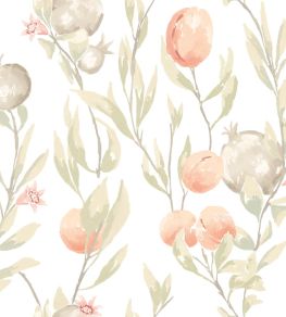 Pomegranate Trail Wallpaper by Ohpopsi Blossom