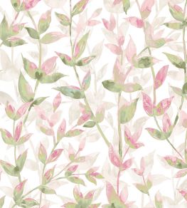 Pomponette Wallpaper by Ohpopsi Apple Blossom