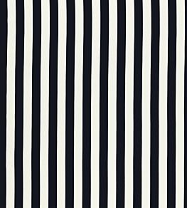 Portland Fabric by Clarke & Clarke Ebony