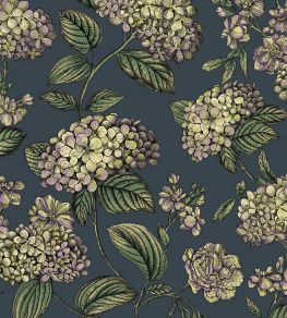 Ramo di Ortensia Wallpaper by Cole & Son Lime & Purple on Ink