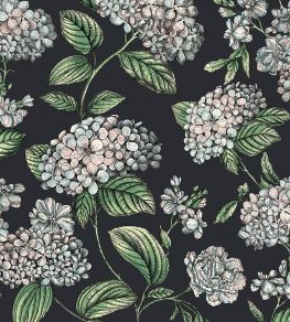 Ramo di Ortensia Wallpaper by Cole & Son Pastel on Charcoal