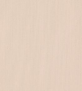 Remo Fabric by Clarke & Clarke Blush