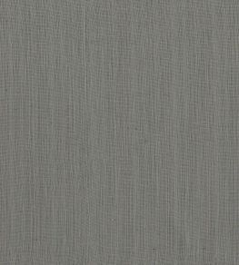 Remo Fabric by Clarke & Clarke Charcoal