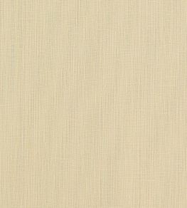 Remo Fabric by Clarke & Clarke Raffia