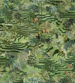 Rice Terrace Wallpaper by Brand McKenzie Grass Green