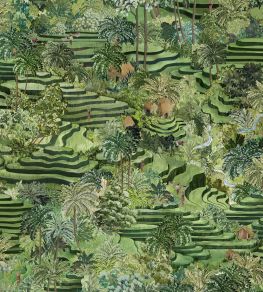 Rice Terrace Max Wallpaper by Brand McKenzie Grass Green