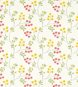 Rochelle Fabric by Clarke & Clarke Summer