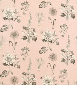 Roseraie Fabric by Clarke & Clarke Blush