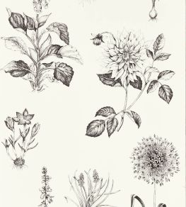 Roseraie Wallpaper by Clarke & Clarke Charcoal