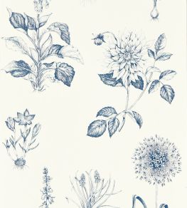 Roseraie Wallpaper by Clarke & Clarke Midnight