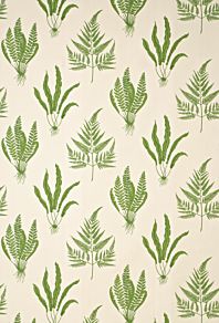Woodland Ferns Fabric by Sanderson Green