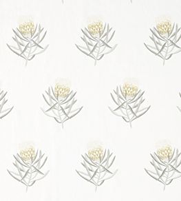 Protea Flower Fabric by Sanderson Daffodil / Natural