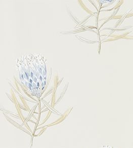 Protea Flower Wallpaper by Sanderson China Blue / Canvas