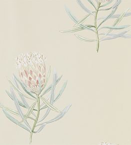 Protea Flower Wallpaper by Sanderson Russet / Green