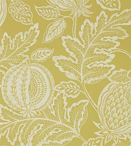 Cantaloupe Wallpaper by Sanderson Caraway
