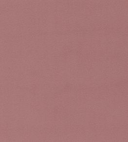 Dorton Fabric by Sanderson Orchid