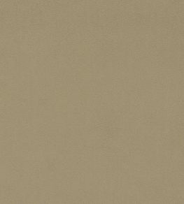 Dorton Fabric by Sanderson Oatmeal