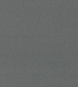 Dorton Fabric by Sanderson Gunmetal