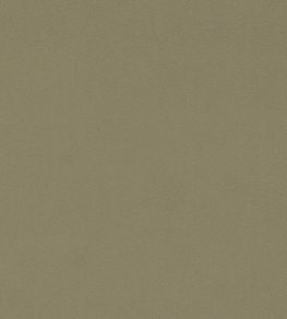Dorton Fabric by Sanderson Putty