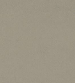 Dorton Fabric by Sanderson Tawny