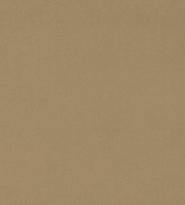 Dorton Fabric by Sanderson Pumice