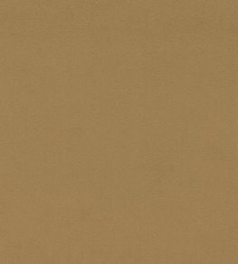 Dorton Fabric by Sanderson Hay