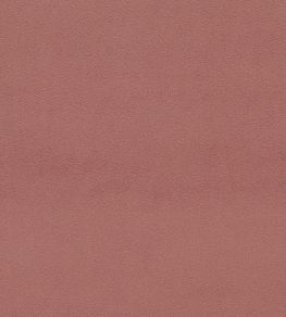 Dorton Fabric by Sanderson Vintage Rose