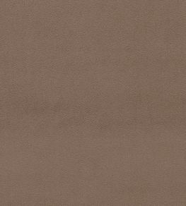 Dorton Fabric by Sanderson Truffle