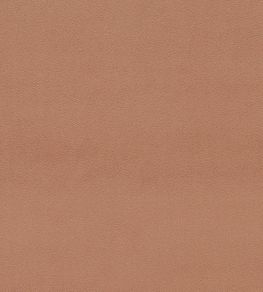 Dorton Fabric by Sanderson Auburn