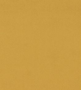 Dorton Fabric by Sanderson Saffron