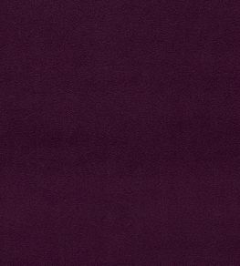 Dorton Fabric by Sanderson Aubergine