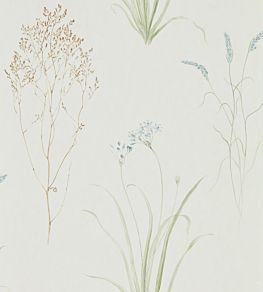 Farne Grasses Wallpaper by Sanderson Cream/Sage