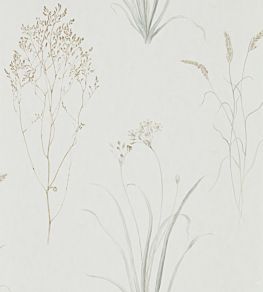 Farne Grasses Wallpaper by Sanderson Silver/Ivory