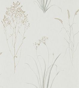 Farne Grasses Wallpaper by Sanderson Silver/Ivory