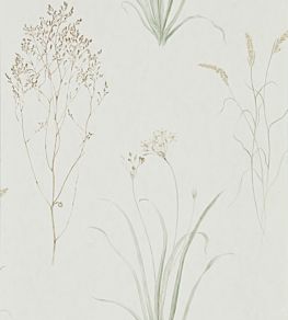 Farne Grasses Wallpaper by Sanderson Willow/Pebble