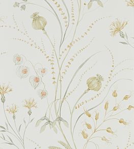 Summer Harvest Wallpaper by Sanderson Silver Corn