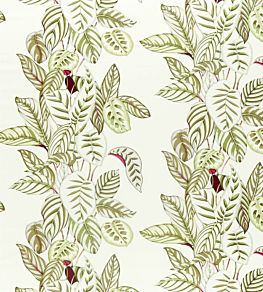 Calathea Fabric by Sanderson Olive