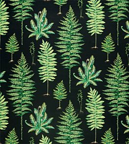 Fernery Fabric by Sanderson Botanical Green/Charcoal