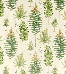 Fernery Fabric by Sanderson Olive