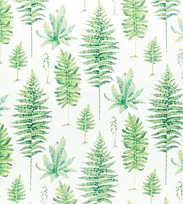 Fernery Fabric by Sanderson Botanical Green