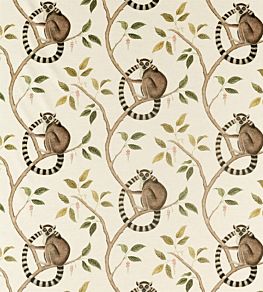 Ringtailed Lemur Fabric by Sanderson Olive