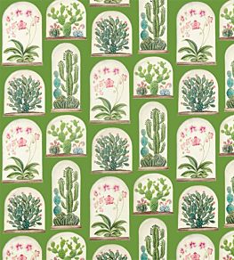 Terrariums Fabric by Sanderson Botanical Green