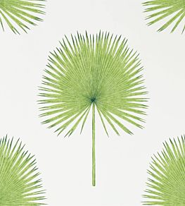Fan Palm Wallpaper by Sanderson Botanical Green